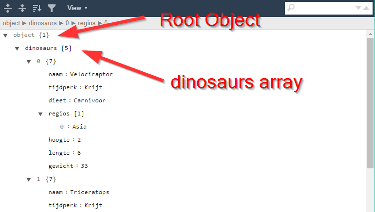 JSON viewer screenshot